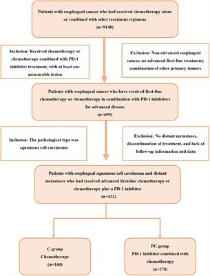 PD-1 inhibitor combined with chemotherapy for first-line treatment of esophageal squamous cell carcinoma patients with distant metastasis: a real-world retrospective study